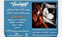 وبینار مروری بر کلیات سقط جنین قانونی مبتنی بر قانون حمایت از خانواده